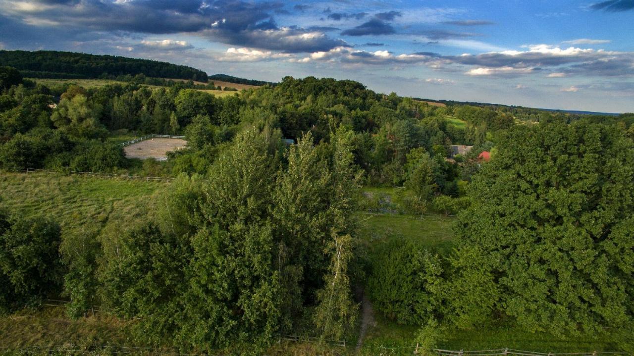 Ekoturystyka Nowina Villa Nowina  Kültér fotó